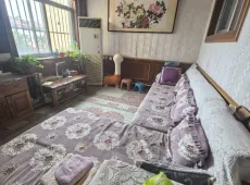 临沭县|县府招待所家属院3室2厅1卫出售|买房租房佣金全返