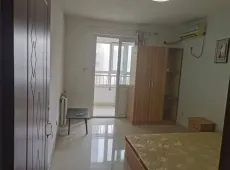 竞秀区|西大园新区1室1厅1卫出租