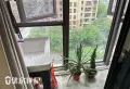 天茂 2-2-1-1 精装 73万5