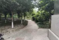 星河湾，独立花园精装三房13