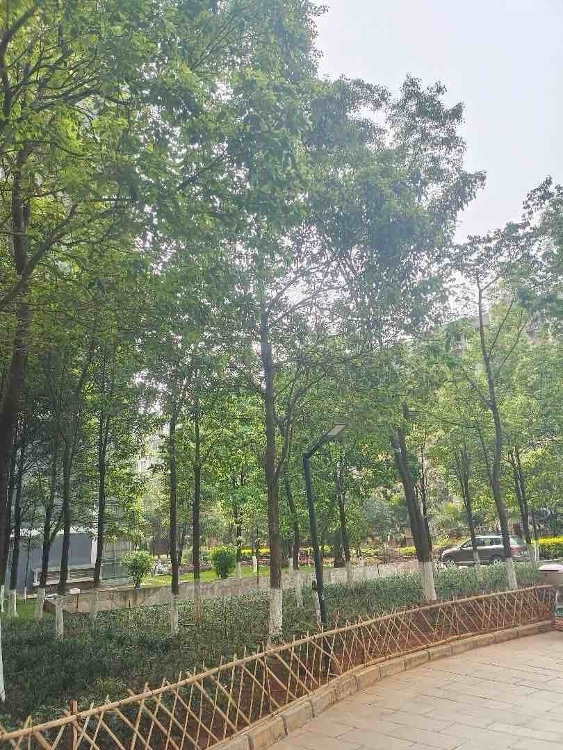 麒麟区北片区精装3室2厅2卫二手房出售15
