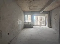 右江区|金宸悦珺4室2厅2卫出售