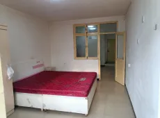 莲池区|莲池南大街东区1室1厅1卫出售