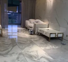 广丰县-广丰-江南1号