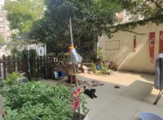 沙市区|东方花园3室2厅2卫出售