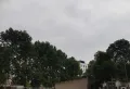 绅园精装一居室带全套家具家电出租12