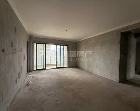 联发公园前4室2厅2卫毛坯