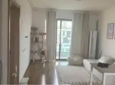 镜湖新区|龙湖春江天镜3室2厅2卫出租