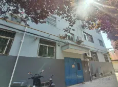临渭区|泰安家园小区2室2厅1卫出租