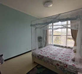 崆峒区-城中-新千国际