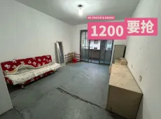 新北区|顺园八村一期北区2室2厅1卫出租