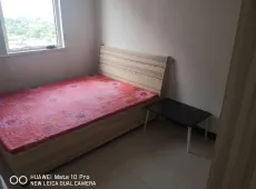 莲池区|鑫达城3室2厅1卫出租