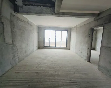 丽丰时代城5室2厅3卫毛坯