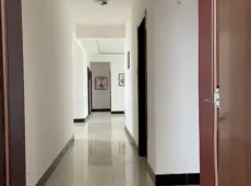 市辖区|建新板高4室2厅2卫出售