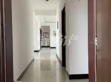 市辖区|建新板高4室2厅2卫出售