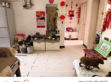 金川区|10号区3室1厅1卫出售