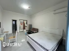 东侨区|铂金公馆1室1厅1卫出租
