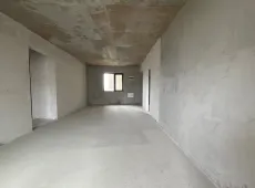 金阳新区|远大美域3室2厅2卫出售
