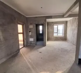 沙市区-城北-绿地海外滩