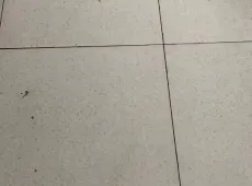 市辖区|长城北小区2室2厅1卫出租