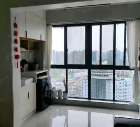 蚌山区-城中-二马路批发市场