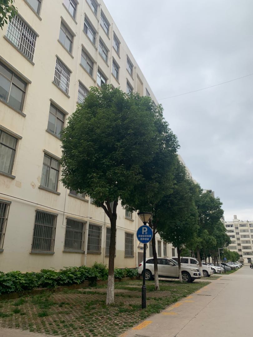 麒麟区南片区毛坯3室2厅2卫二手房出售16
