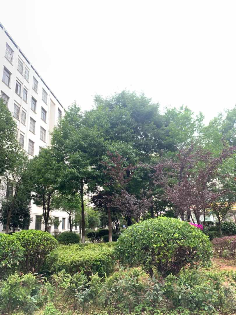 麒麟区南片区毛坯3室2厅2卫二手房出售15