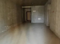 漳河新区|中建壹品璟苑3室2厅2卫出售