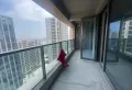 紧邻地铁,绿城凤栖海棠房主急售6