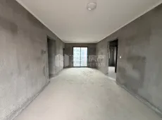南昌县|中航瑶湖郡天池居3室2厅2卫出售