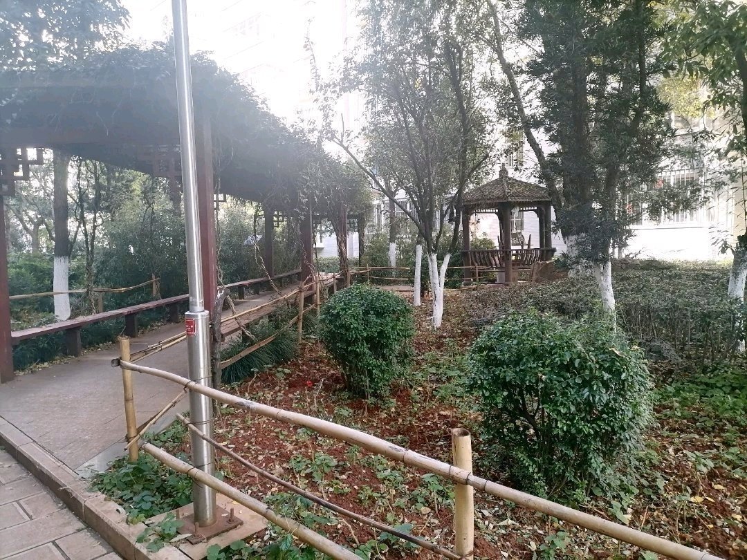 麒麟区东片区普通3室2厅2卫二手房出售11