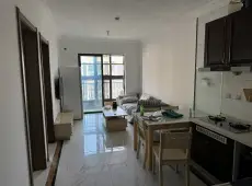 龙华区|碧桂园中央首府一期2室1厅1卫出租
