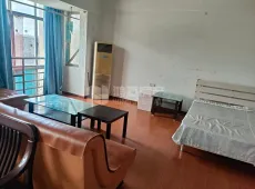 青云谱区|东方明珠城1室1厅1卫出租