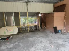 兴业县|大兴路天地楼3室3厅3卫出售