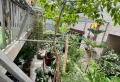 东嘎安居苑5室240㎡ 带超大入户花园7
