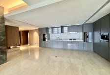 西塔全新房 高品质装修 随时可看