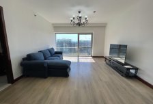 3室2厅2卫0阳台财富中心公寓，家电齐全，拎包入住