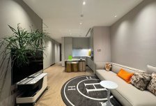 自住精装一居 家私齐全 可拎包入住
