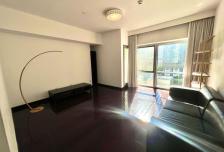 财富中心公寓 100.0平米 13000.0元/月