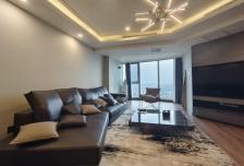 大望路 全新装修 纽约豪园 拎包入住