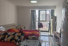 远洋山水北区 西向一居室 业主重新精装修 7月中旬完工