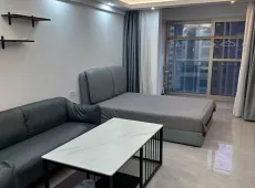 龙湖区|壹品湾一区1室1厅1卫出租