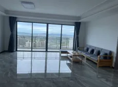 金平区|碧桂园新宸湾4室2厅3卫出租