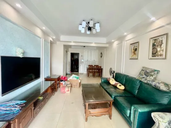 九龙仓年华里3室2厅1卫朝undefined精装房源图片