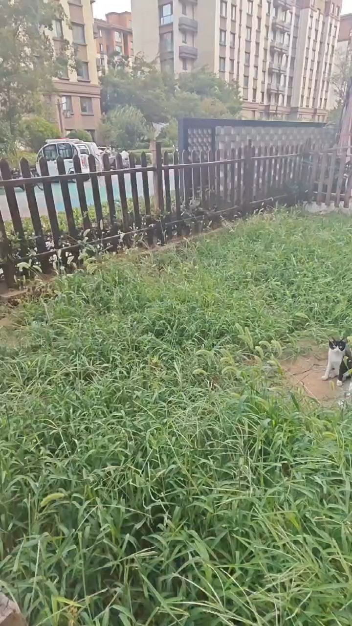 连云区,连云,德惠尚书房,,99.77㎡