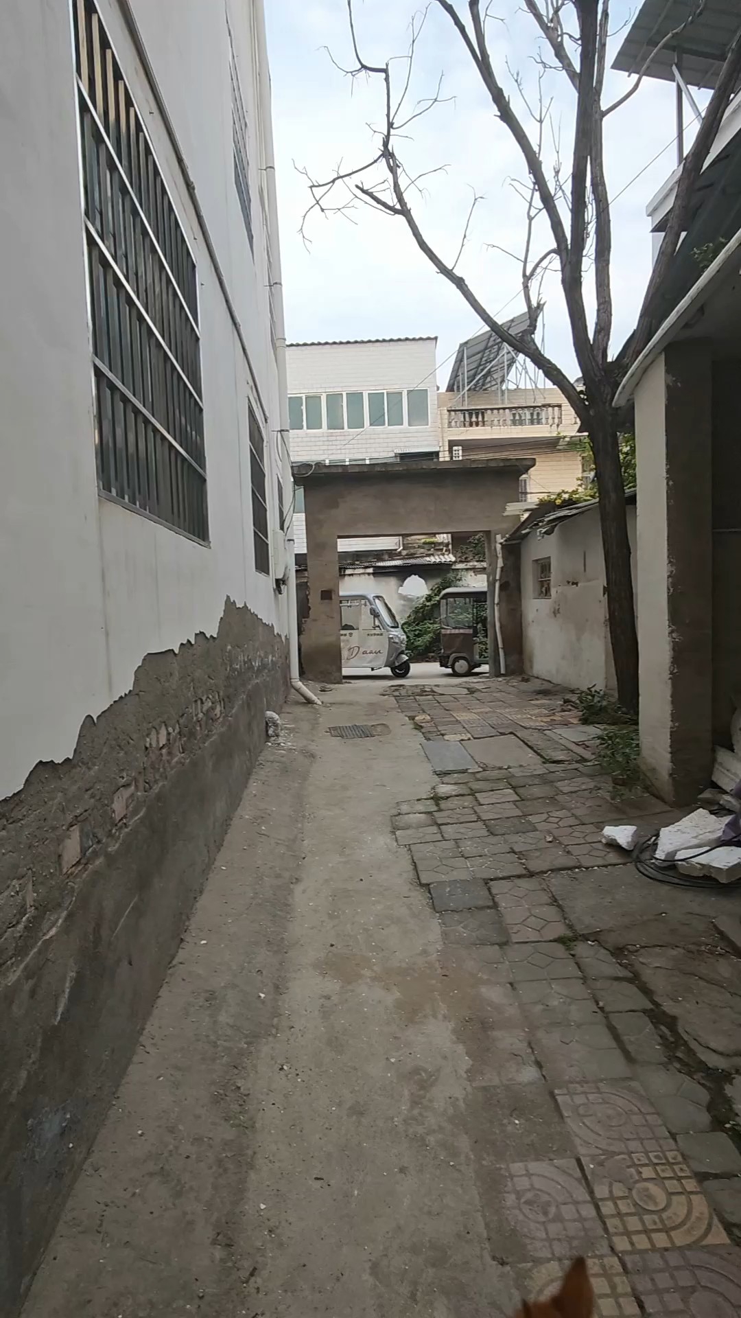 金明区,城南,大朱屯,,315㎡
